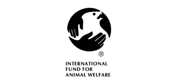 Animal Welfare Fund Salesforce Integration