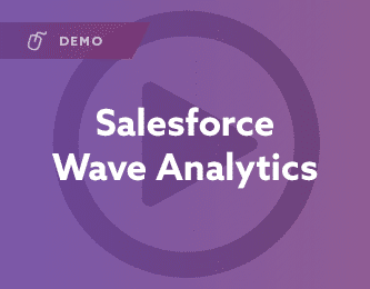 Salesforce Wave Analytics Demo